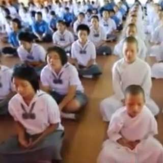 La MT enseignée à l'école bouddhiste 